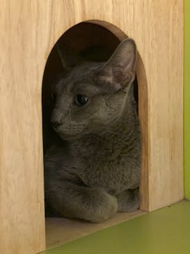 Moff animal world MARK IS みなとみらい店に投稿された画像（2021/8/6）