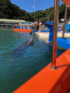 下田海中水族館に投稿された画像（2021/8/6）