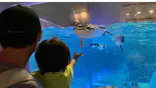 すみだ水族館に投稿された画像（2021/8/6）