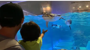 すみだ水族館に投稿された画像（2021/8/6）