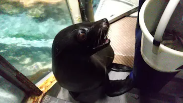 すみだ水族館に投稿された画像（2021/8/6）