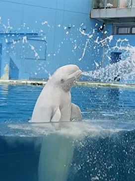 横浜・八景島シーパラダイスに投稿された画像（2021/8/6）