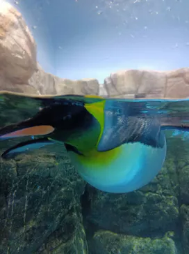 横浜・八景島シーパラダイスに投稿された画像（2021/8/6）