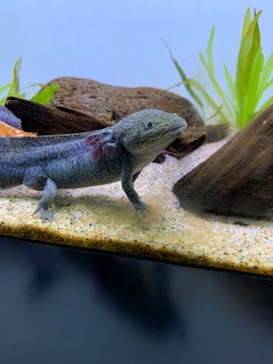 サンシャイン水族館に投稿された画像（2021/8/6）