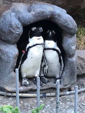 サンシャイン水族館に投稿された画像（2021/8/6）