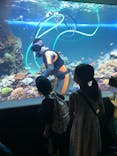 サンシャイン水族館に投稿された画像（2021/8/6）