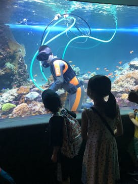 サンシャイン水族館に投稿された画像（2021/8/6）