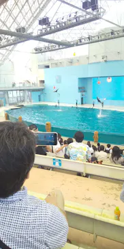 横浜・八景島シーパラダイスに投稿された画像（2021/8/6）