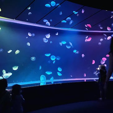 サンシャイン水族館に投稿された画像（2021/8/6）