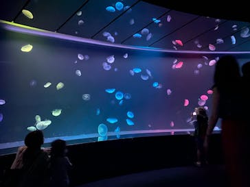 サンシャイン水族館に投稿された画像（2021/8/6）