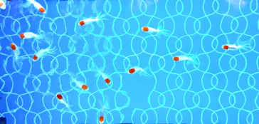すみだ水族館に投稿された画像（2021/8/6）