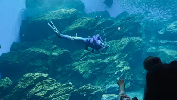 仙台うみの杜水族館に投稿された画像（2021/8/6）