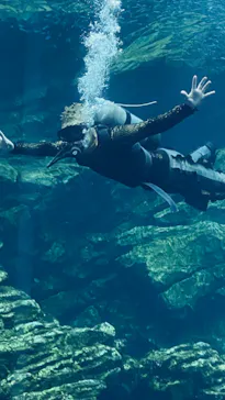仙台うみの杜水族館に投稿された画像（2021/8/6）
