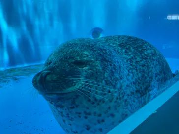 仙台うみの杜水族館に投稿された画像（2021/8/6）