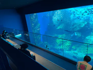 仙台うみの杜水族館に投稿された画像（2021/8/6）