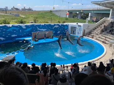 仙台うみの杜水族館に投稿された画像（2021/8/6）