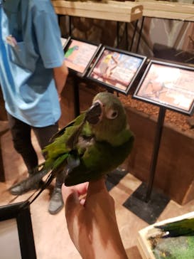 Moff animal world MARK IS みなとみらい店に投稿された画像（2021/8/6）