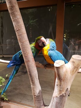 Moff animal world MARK IS みなとみらい店に投稿された画像（2021/8/6）