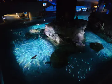 すみだ水族館に投稿された画像（2021/8/6）