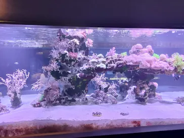 すみだ水族館に投稿された画像（2021/8/6）