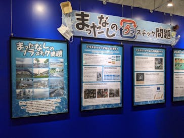 名古屋港水族館に投稿された画像（2021/8/6）