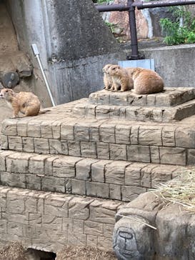 伊豆シャボテン動物公園に投稿された画像（2021/8/6）