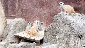 伊豆シャボテン動物公園に投稿された画像（2021/8/6）