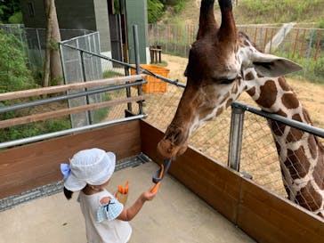 しろとり動物園に投稿された画像（2021/8/6）