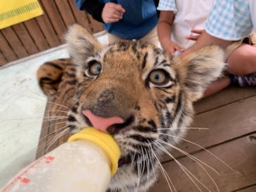 しろとり動物園に投稿された画像（2021/8/6）