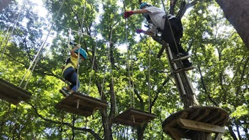 那須の森の空中アスレチック『NOZARU』に投稿された画像（2021/8/7）