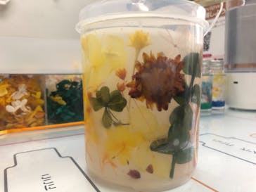 ずこうしつ〜sugamo〜に投稿された画像（2021/8/7）