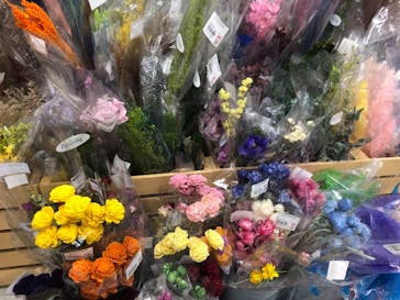 ずこうしつ〜sugamo〜に投稿された画像（2021/8/7）