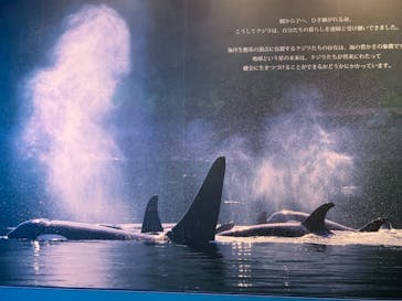 名古屋港水族館に投稿された画像（2021/8/7）