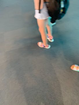 名古屋港水族館に投稿された画像（2021/8/7）