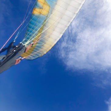 松島熱気球・パラグライダー体験に投稿された画像（2021/8/7）