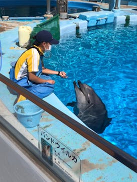 名古屋港水族館に投稿された画像（2021/8/7）
