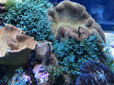 名古屋港水族館に投稿された画像（2021/8/7）