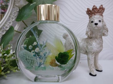 ずこうしつ〜sugamo〜に投稿された画像（2021/8/7）