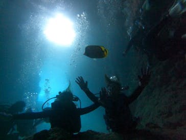 武藤潜水に投稿された画像（2021/8/7）