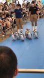 鳥羽水族館に投稿された画像（2021/8/7）
