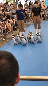 鳥羽水族館に投稿された画像（2021/8/7）