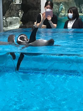 鳥羽水族館に投稿された画像（2021/8/7）