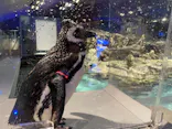 すみだ水族館に投稿された画像（2021/8/7）