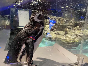 すみだ水族館に投稿された画像（2021/8/7）