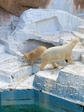 天王寺動物園に投稿された画像（2021/8/7）