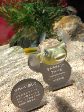 カワスイ 川崎⽔族館に投稿された画像（2021/8/7）