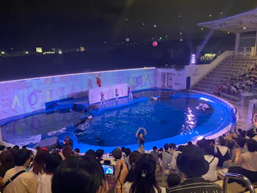 仙台うみの杜水族館に投稿された画像（2021/8/7）