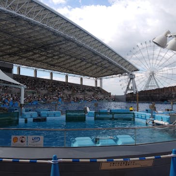 名古屋港水族館に投稿された画像（2021/8/7）