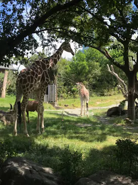 天王寺動物園に投稿された画像（2021/8/7）