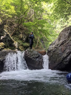 自然派企画に投稿された画像（2021/8/7）